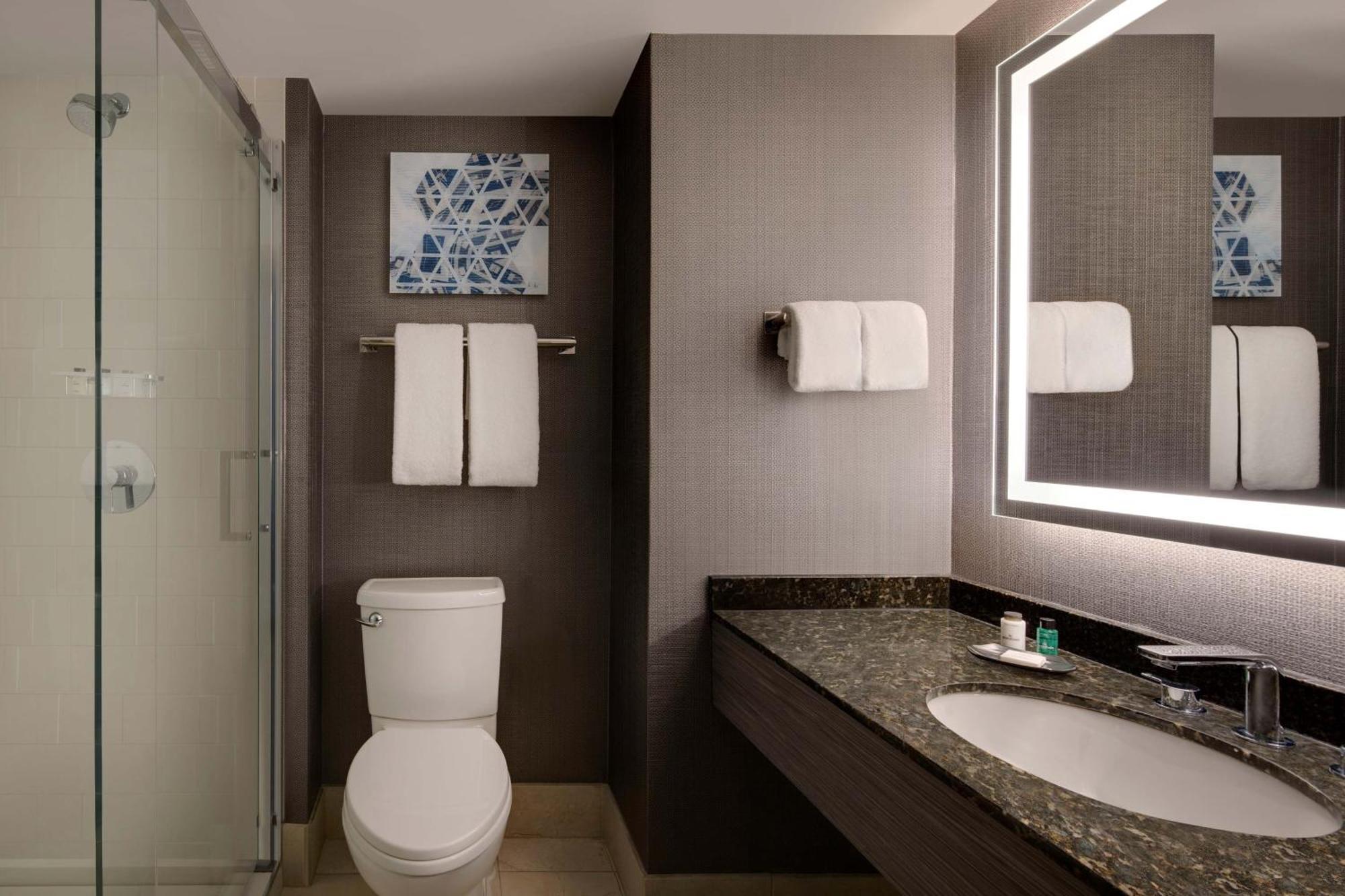 King Room Roll Shower Mobility Hearing Accessible